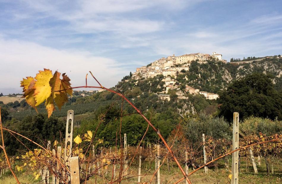 Calvi dell'Umbria