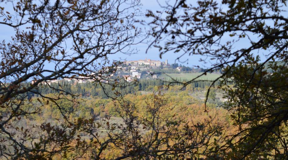 Montegabbione