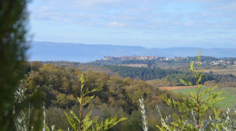 Monteleone di Orvieto