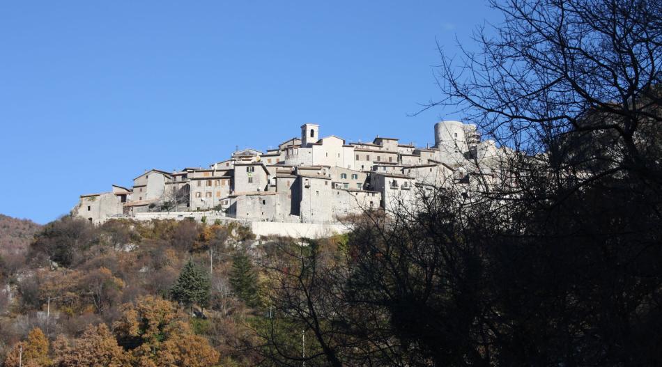 Polino