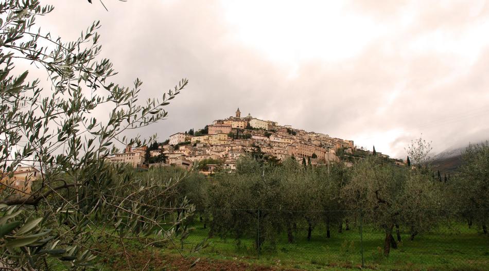 Trevi