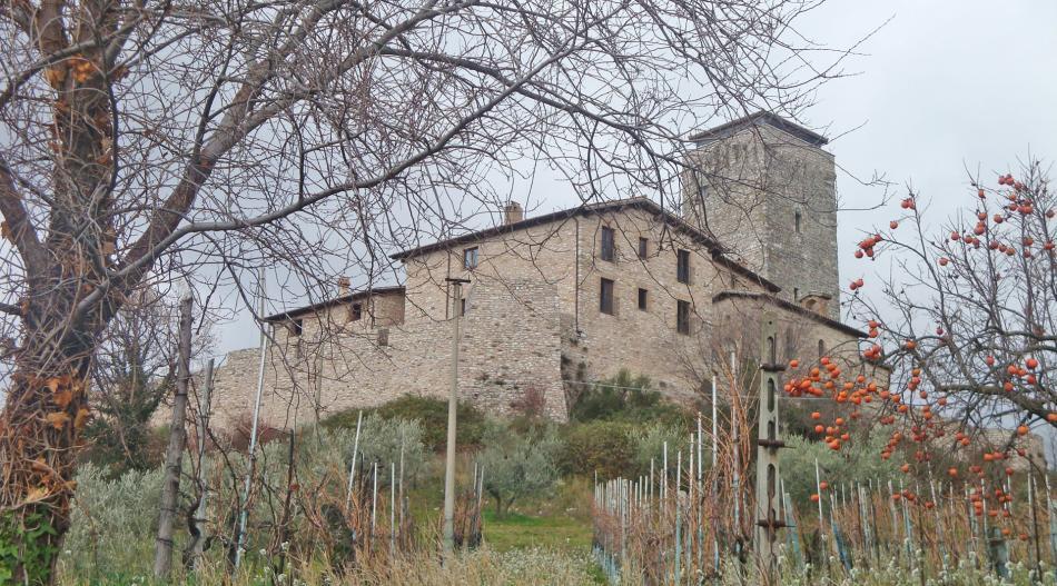 Valtopina
