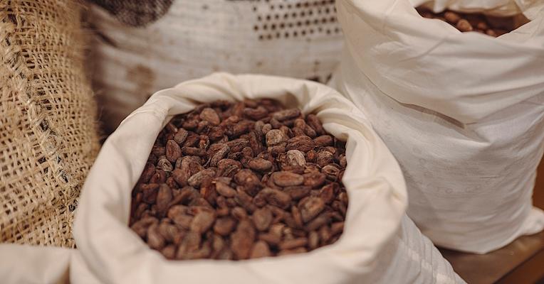 Fabric sacks filled with dried cocoa beans, arranged on a surface inside a production facility.