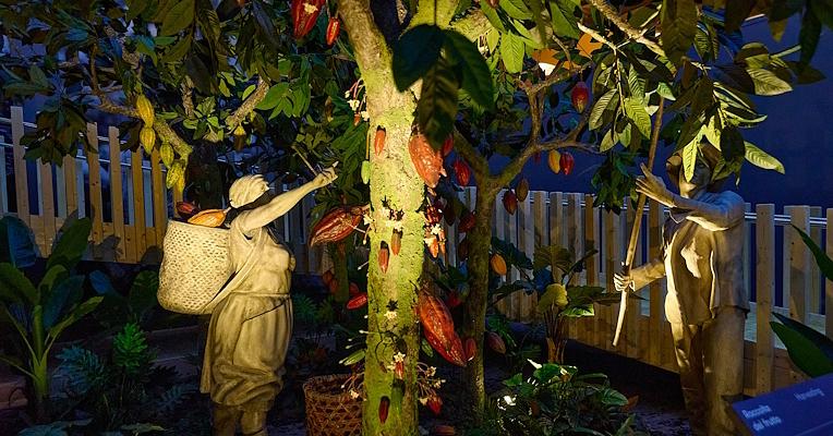 Museum installation with statues harvesting cocoa pods from a tree, set in a tropical environment.