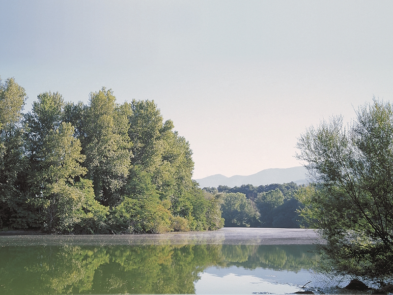 Tratto del fiume Tevere nel Parco fluviale del Tevere con alberi riflessi nell'acqua.