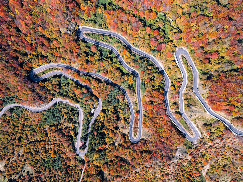 Aerial view of a winding road crossing a forest in autumn colours, with shades of green, yellow, orange and red.