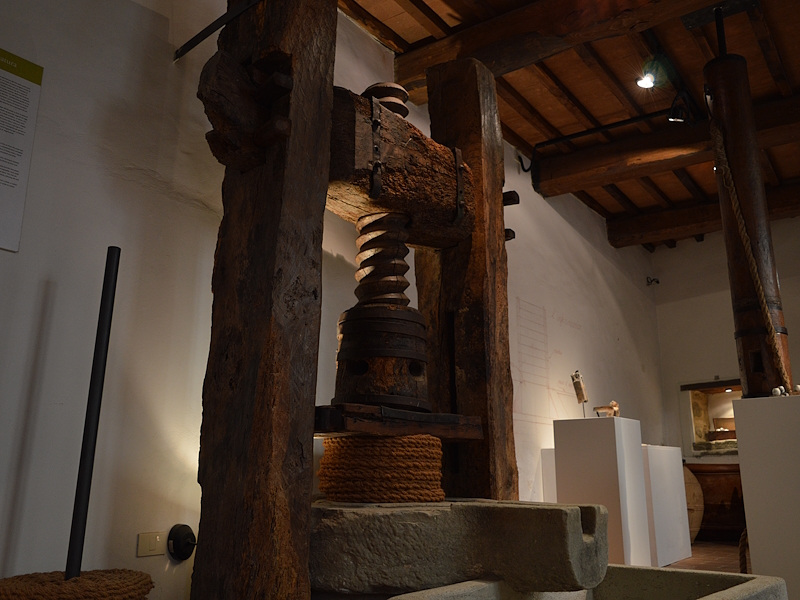 Antique wooden olive press with a large central screw, on display at the Olive and Olive Oil Museum in Torgiano.