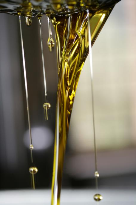 Food, Wine <br> and Extravergin Olive Oil