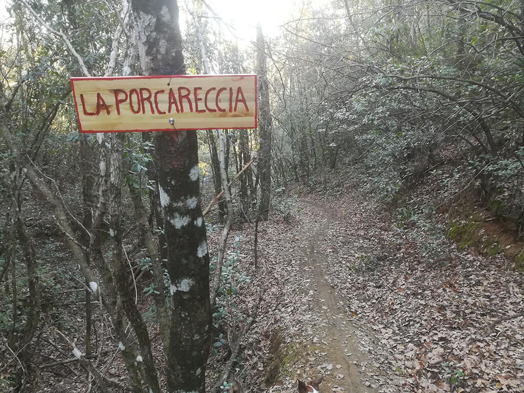 Titolo: Perugia Vecchia Park - Bettona