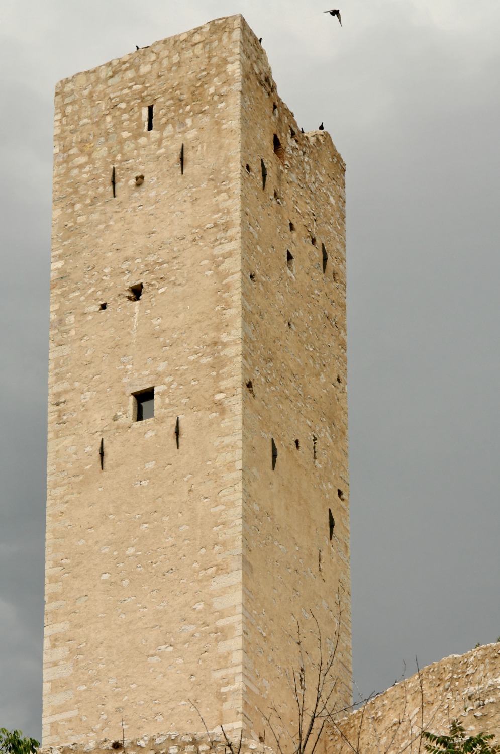 Alta torre medievale in pietra del Castello di Pissignano fotografata dal basso, con piccole feritoie e rondini che volano contro un cielo grigio