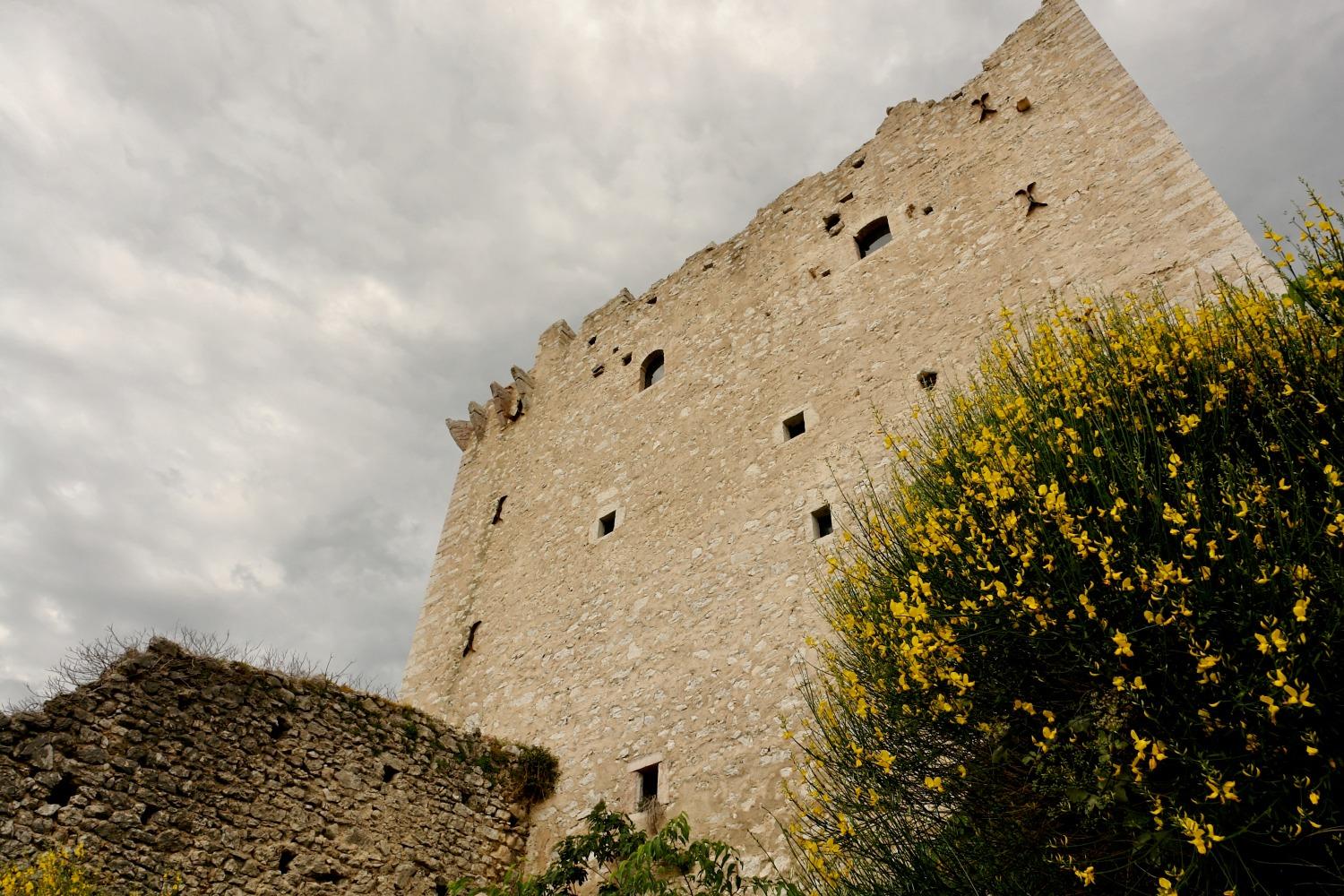 Tall medieval stone tower of Pissignano Castle photographed from below, with small arrow slits and swallows flying against a grey sky