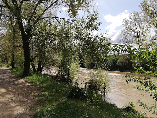 Riverbank with a cycling path