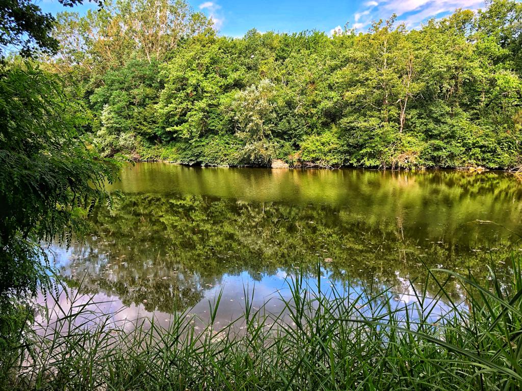 Parco Fluviale del Fiume Tevere