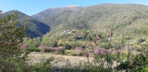 Nera River Cycle Route