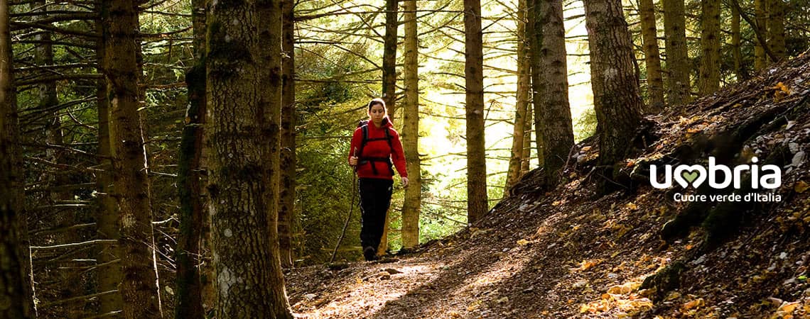Spiritual journey in the footsteps of St Francis of Assisi pilgrimage camino