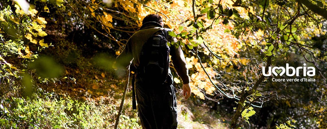 path of Francesco pilgrimage Assisi
