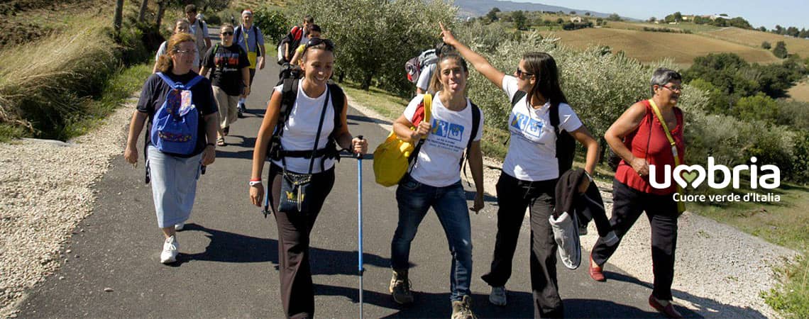walking on the way of Francis pilgrims spiritual experience