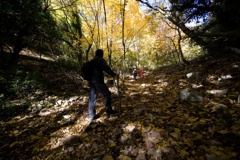 St Francis Way in Umbria: from Florence/Rimini to Assisi