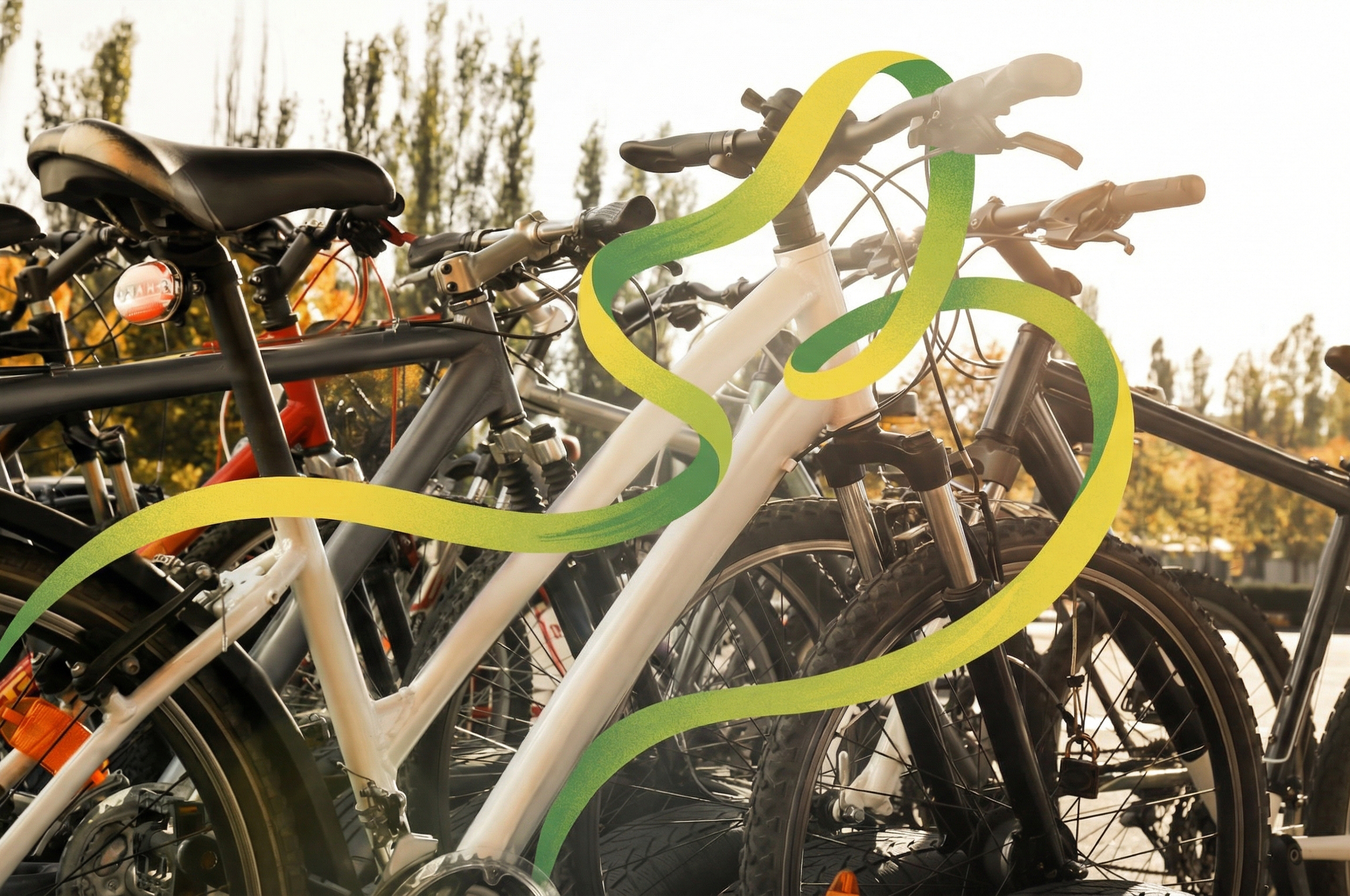 Servizio noleggio bici