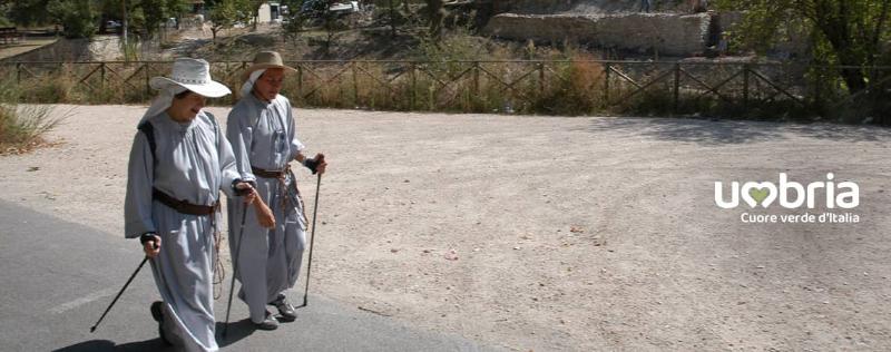 bosco di san francesco pilgrimage st francis way