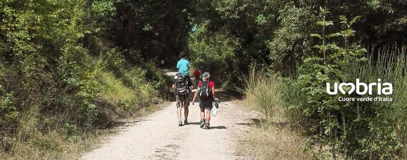 path of reflection pilgrimage umbria mystic track of francesco