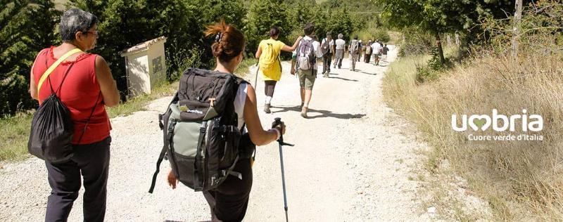 pilgrims path to francesco of assisi