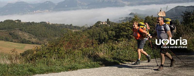 via di francesco life experience on franciscan places