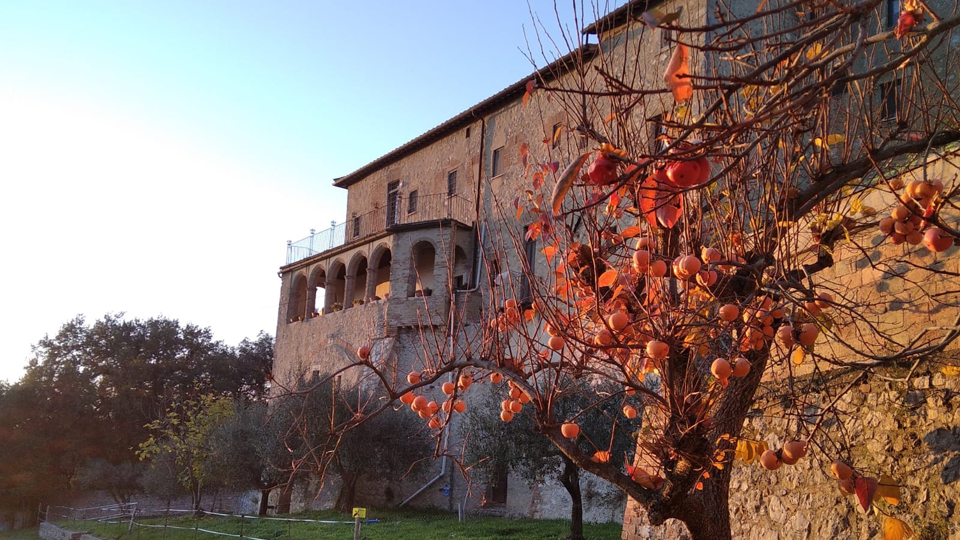 Titolo: Das Kloster der Allerheiligsten Verkündigung in Amelia