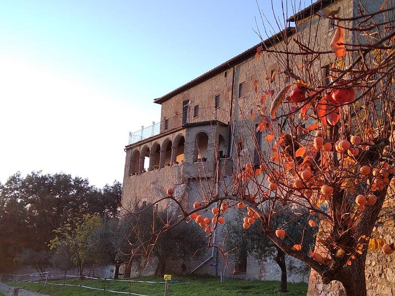 Titolo: Das Kloster der Allerheiligsten Verkündigung in Amelia