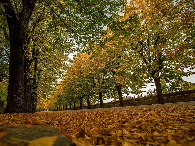 Titolo: Umbria, All the Warm Shades of Autumn