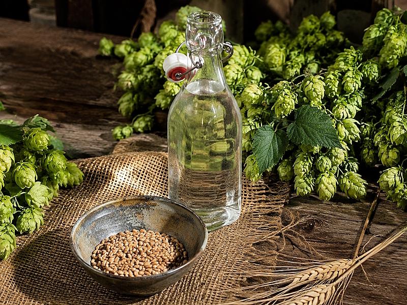 Hops, grains and a glass bottle arranged on a rustic wooden table representing Umbrian craft beer production.