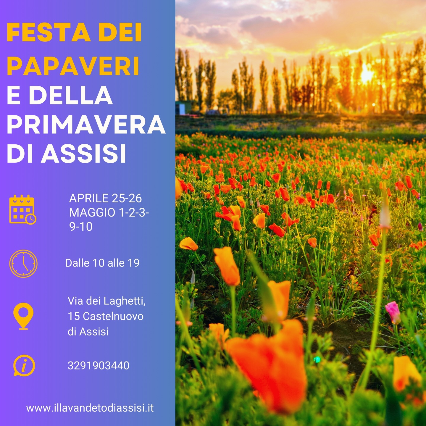 Poster Festival d primavera e del giardino 2025