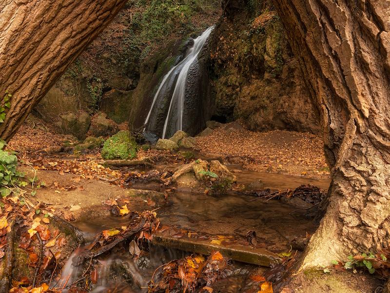 Cascata del Menotre nel cuore di un bosco, incorniciata da grandi alberi e circondata da un tappeto di foglie dai colori autunnali.