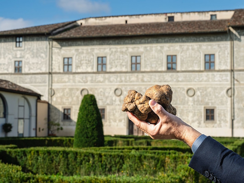 Una mano mostra alcuni tartufi bianchi davanti al giardino all’italiana di Palazzo Vitelli a Città di Castello.