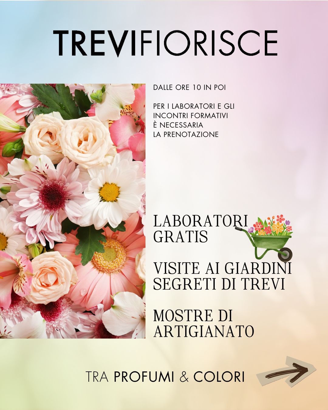 Poster of Trevi Fiorisce in Trevi