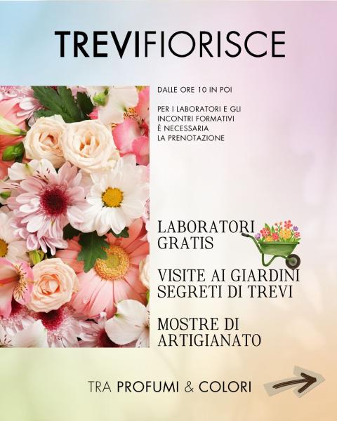 Affiche de Trevi Fiorisce à Trevi
