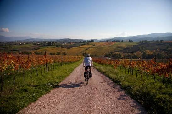 Titolo: Esperienze in bici