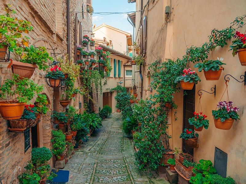 Étroite ruelle du village de Spello, ornée de nombreux pots de fleurs et de plantes colorées le long des façades des maisons.